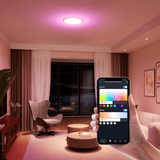 Calex Smart Halo Plafondlamp - 30cm - RGB + CCT - Wit