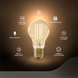 Calex Smart LED Filament Lamp - E27 - A60 - CCT - Goud