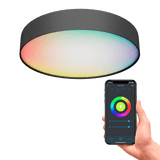 Calex Smart Deckenleuchte 40 cm – RGB+Warmweiß – Schwarz