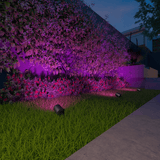 Calex Smart Ground Spots 24v - 3 Pack - RGB + CCT