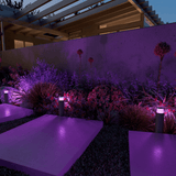 Calex Smart Sokkellamp 24V - Set van 3 - RGB + CCT