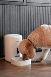 Calex Smart Petfeeder - 1080p Camera