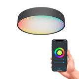 Calex Smart Deckenleuchte 30 cm – RGB+Warmweiß – Schwarz