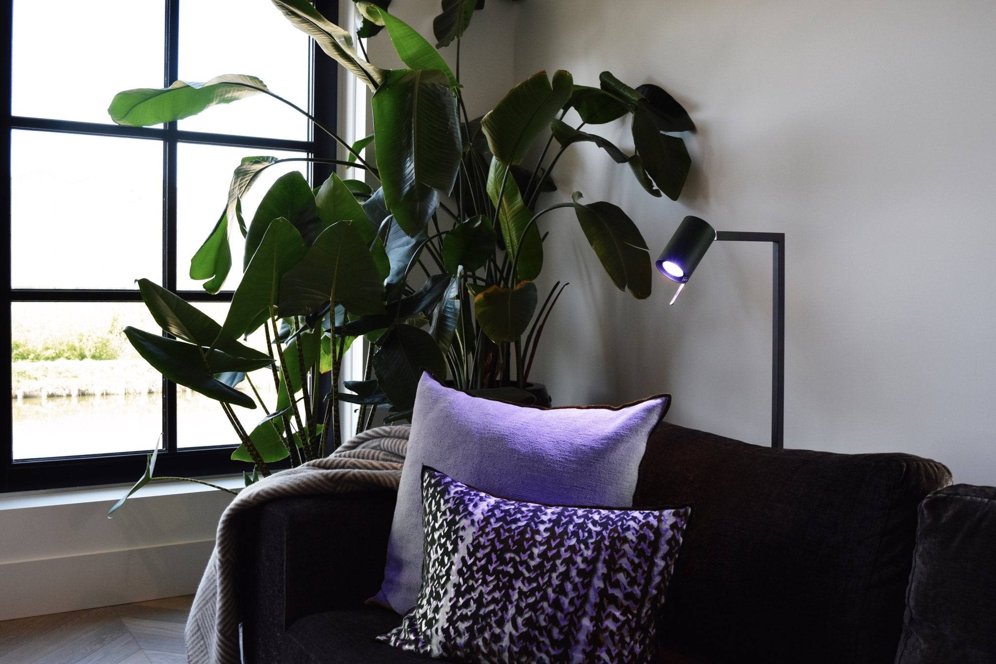 Calex Smart LED Bulb - GU10 - RGB + CCT