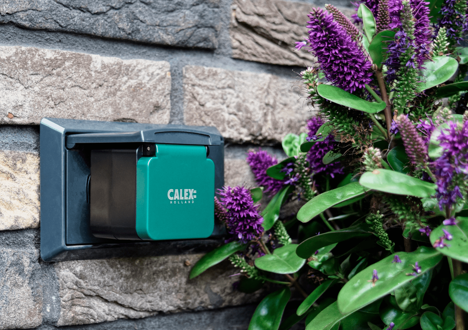 Calex Beveiligingscamera - Zwart